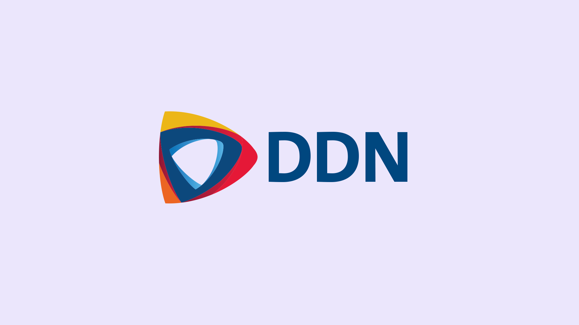 DDN Logo